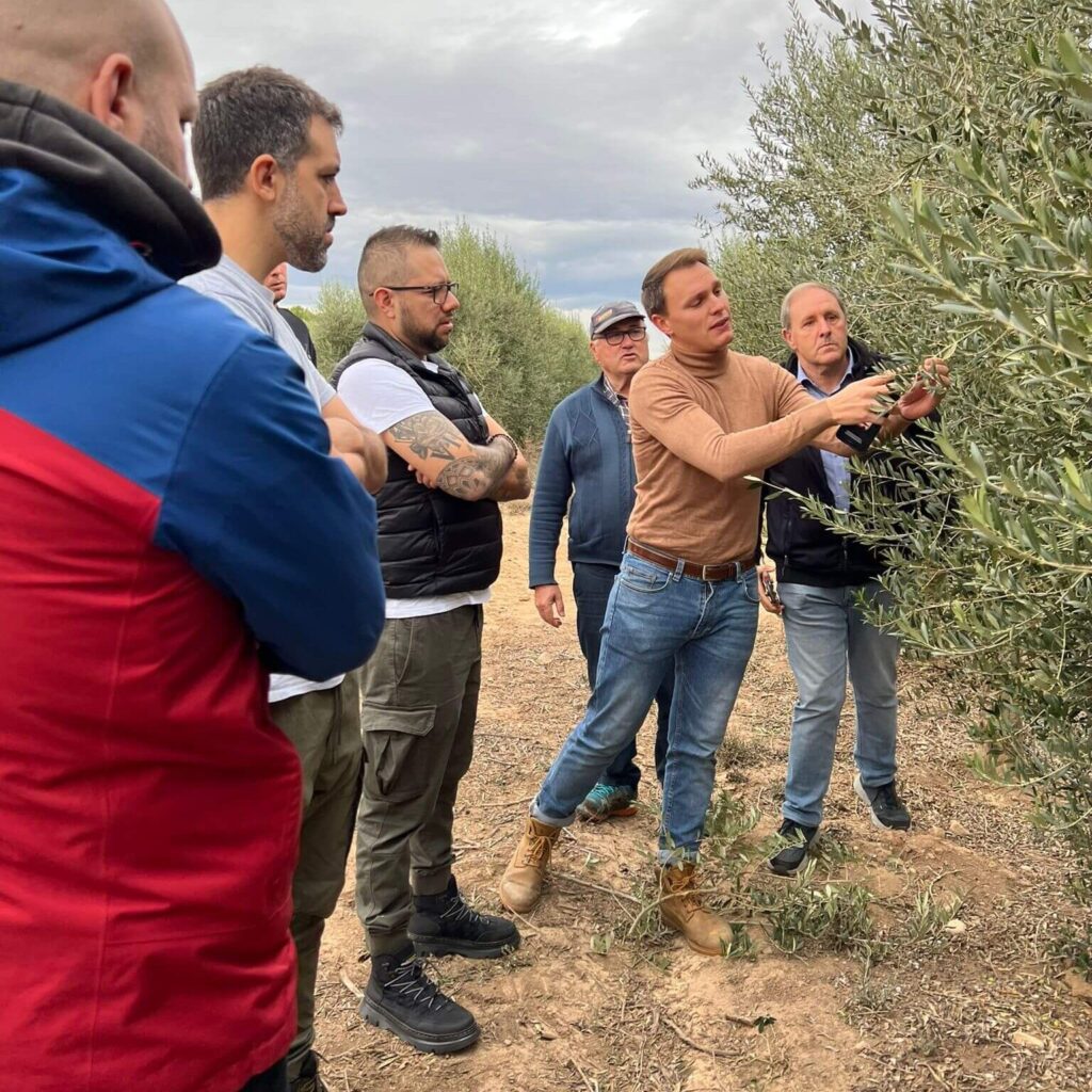 Condado de Martiniega